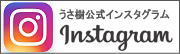 うさ樹公式instagram